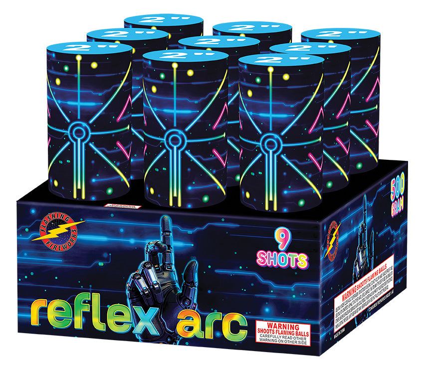 Reflex Arc