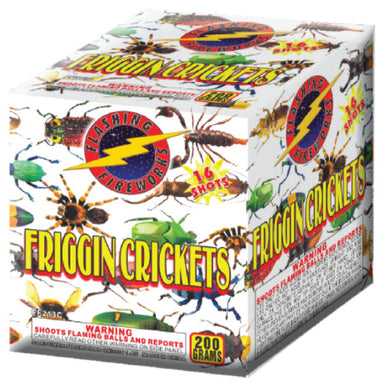 Friggin Crickets by Flashing Fireworks 